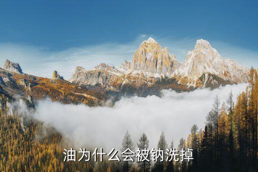 食用油钠是什么意思,梦见食用油是什么意思