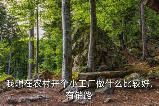我想在农村开个小工厂做什么比较好,有销路