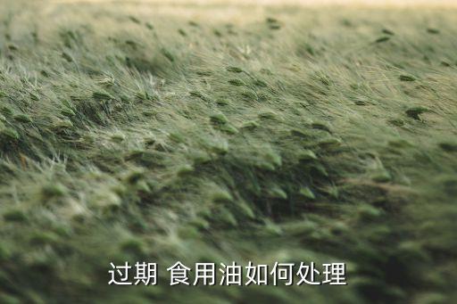 二十年食用油怎么处理的,食用油时间长了怎么处理