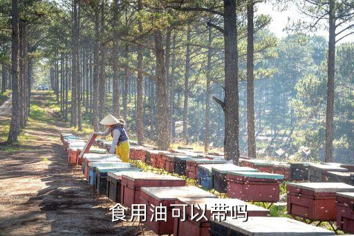 什么食用油不能带回家里,家里吃的食用油什么样好