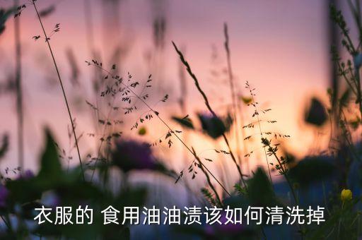 食用油的油垢怎么去除,怎么去除油垢最有效