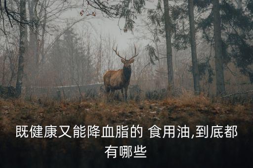 既健康又能降血脂的 食用油,到底都有哪些