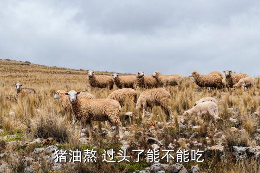 食用油烧过头会有什么影响