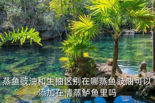 蒸鱼豉油和生抽区别在哪蒸鱼豉油可以添加在清蒸鲈鱼里吗