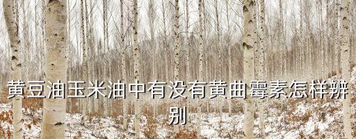 黄豆油玉米油中有没有黄曲霉素怎样辨别