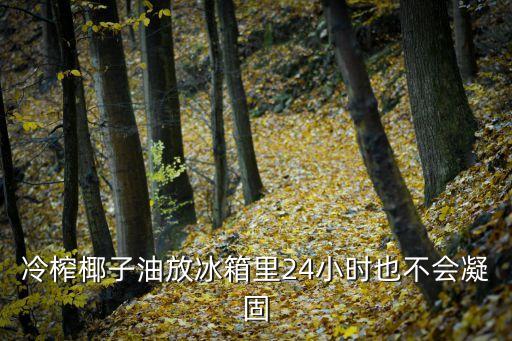 冷榨椰子油放冰箱里24小时也不会凝固