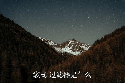 袋式 过滤器是什么