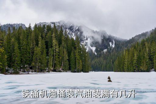绿铁桶食用油多少升