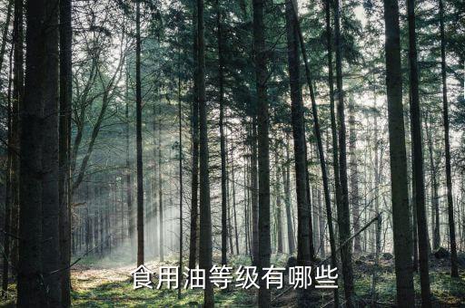  食用油等级有哪些
