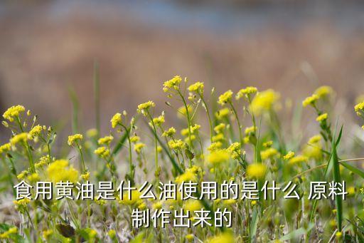 食用黄油是什么油使用的是什么 原料制作出来的