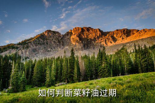 怎么辨别食用油变质了,变质肉怎么辨别