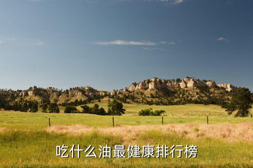 吃什么油最健康排行榜
