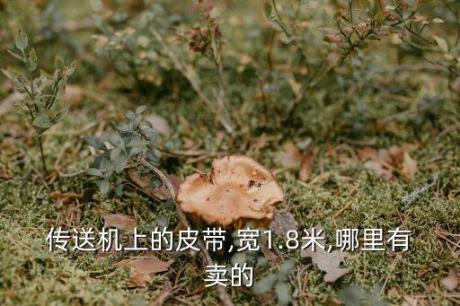 食用油滚筒输送机多少钱