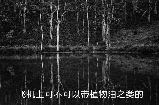 现在飞机上能带多少食用油