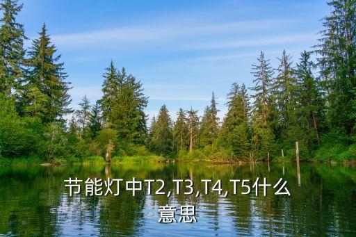 节能灯中T2,T3,T4,T5什么意思