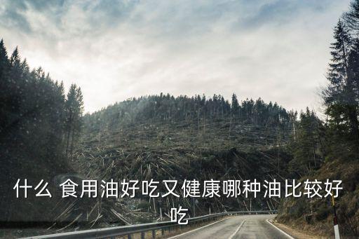 什么 食用油好吃又健康哪种油比较好吃