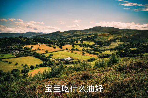 宝宝吃什么油好