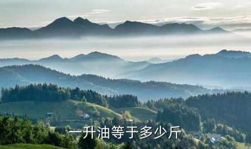 一升油等于多少斤
