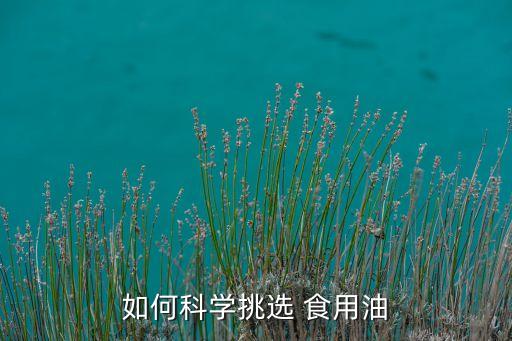 如何科学挑选 食用油