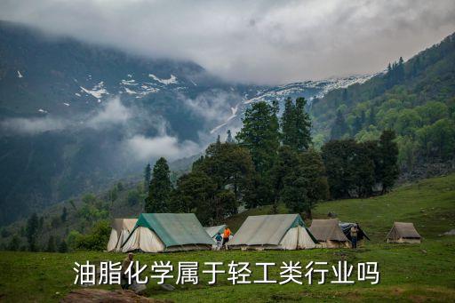 油脂化学属于轻工类行业吗