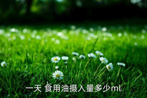一天 食用油摄入量多少ml