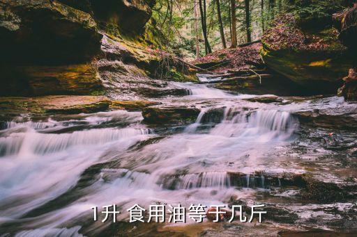1升 食用油等于几斤