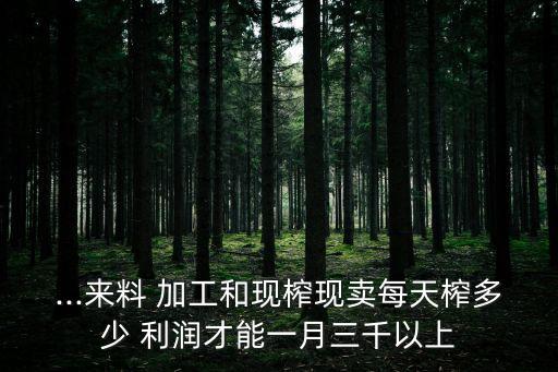 ...来料 加工和现榨现卖每天榨多少 利润才能一月三千以上