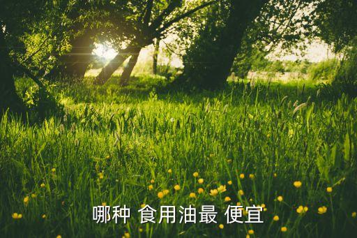 哪种 食用油最 便宜