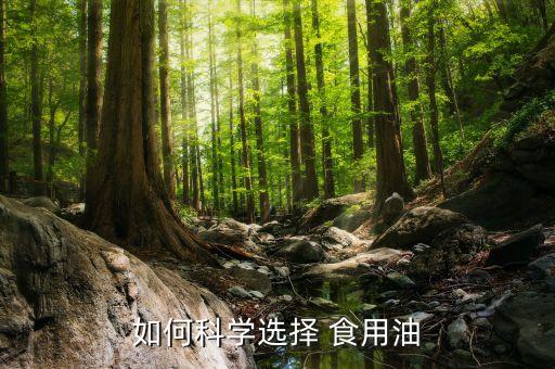 如何科学选择 食用油