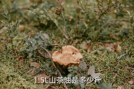  1.5L山茶油是多少斤