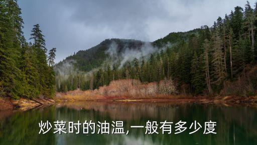 炒菜时的油温,一般有多少度