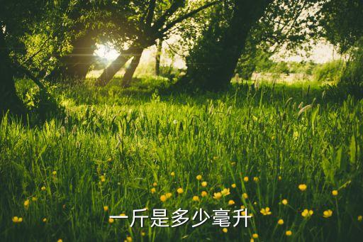 一斤是多少毫升