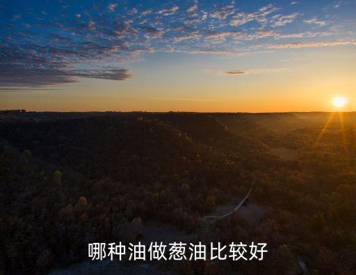 哪种油做葱油比较好