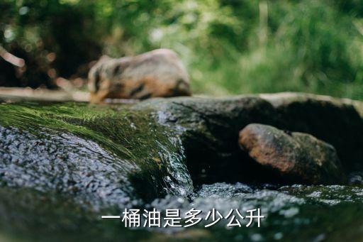  一桶油是多少公升