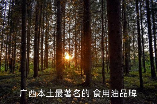 广西本土最著名的 食用油品牌
