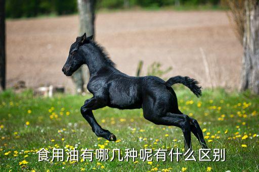 什么是食用油皂化值,皂化值大小说明什么