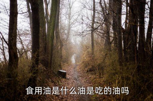  食用油是什么油是吃的油吗