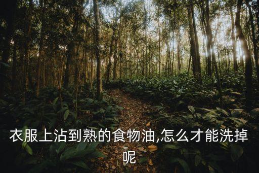 衣服上沾到熟的食物油,怎么才能洗掉呢