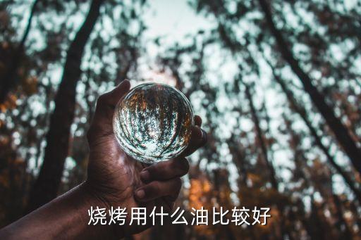 烤食用油是什么油,食用油代号Q开头是什么油