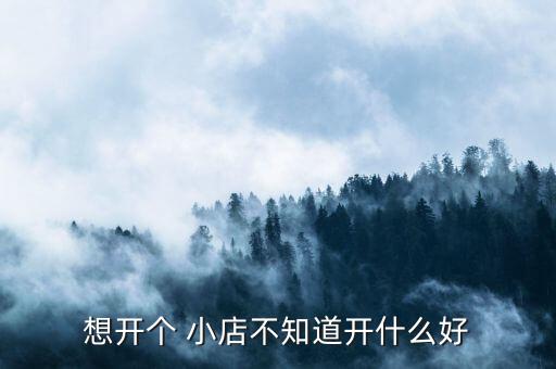 想开个 小店不知道开什么好