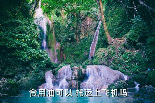  食用油可以 托运上飞机吗