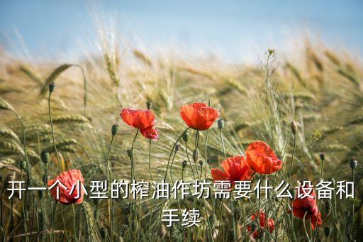 开一个小型的榨油作坊需要什么设备和手续