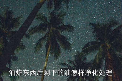 油炸东西后剩下的油怎样净化处理