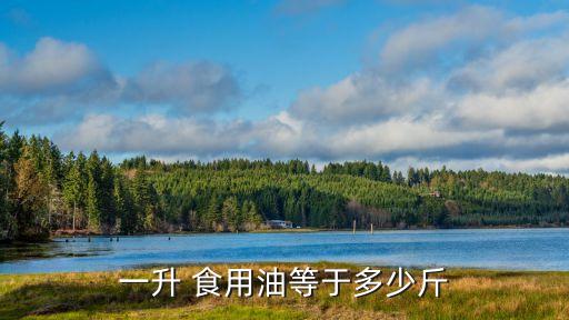 一升 食用油等于多少斤