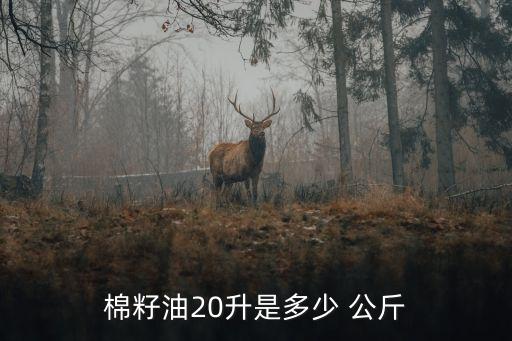 棉籽油20升是多少 公斤