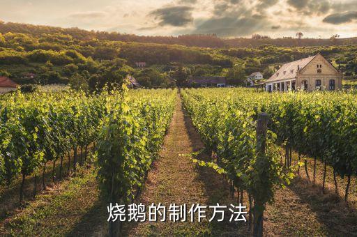 烧鹅的制作方法