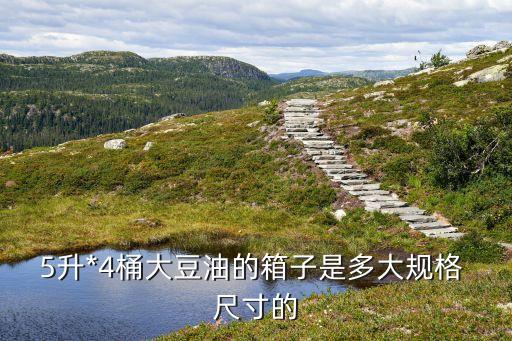 食用油储存油桶尺寸多少