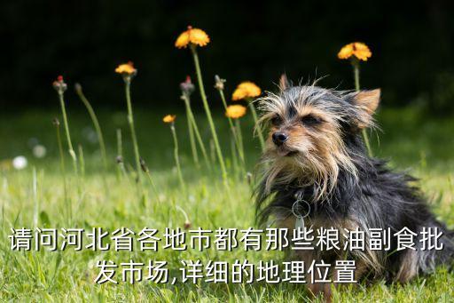请问河北省各地市都有那些粮油副食批发市场,详细的地理位置