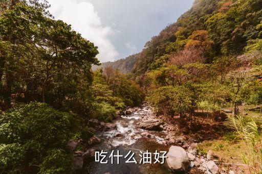 吃什么油好