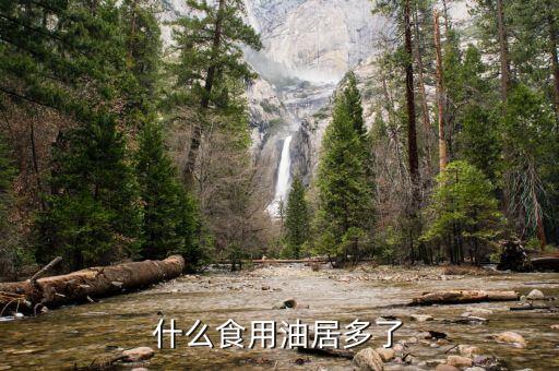 国内什么食用油居多了